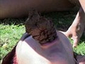 海外美女軍団21人！！脱糞・塗糞・食糞・飲尿・嘔吐ノンストップ180分！！男優出演一切なし！！　サンプル画像04